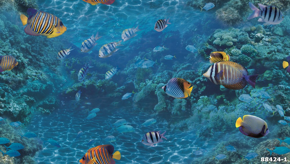 Giấy dán tường đại dương và nemo  88424-1